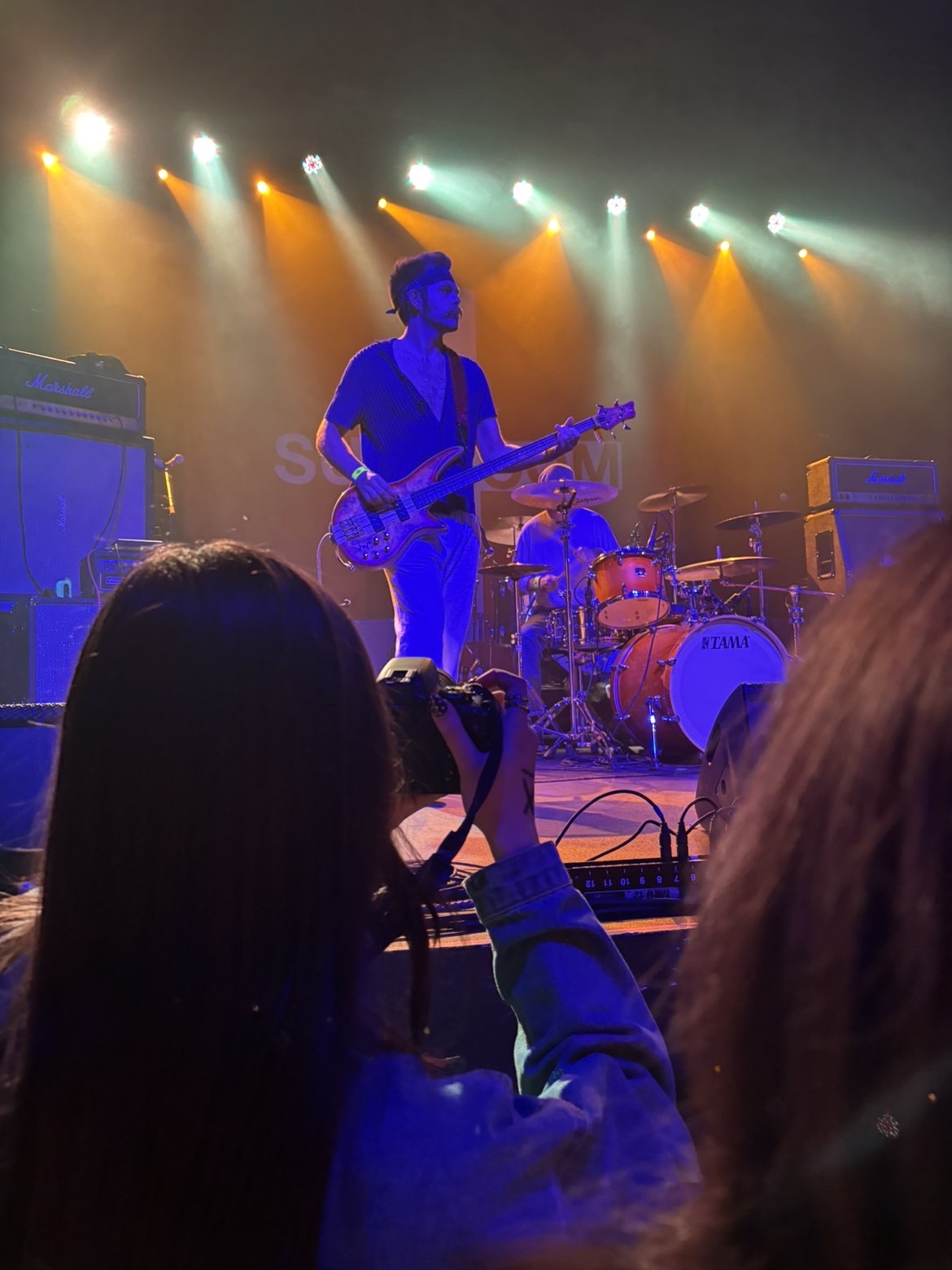 Ava shooting at a concert